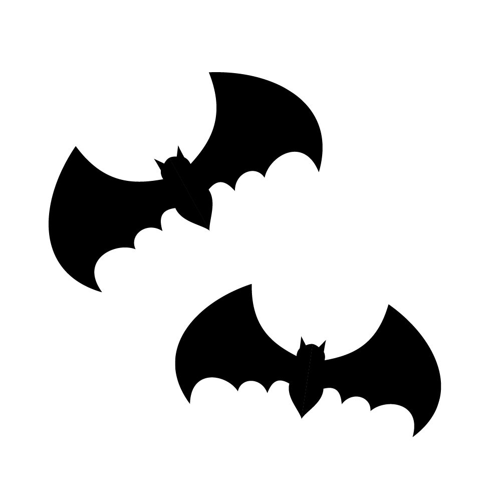 23093517