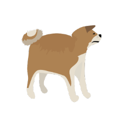 _dog-01