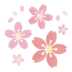 _sakura-3-01-01-01-01-01